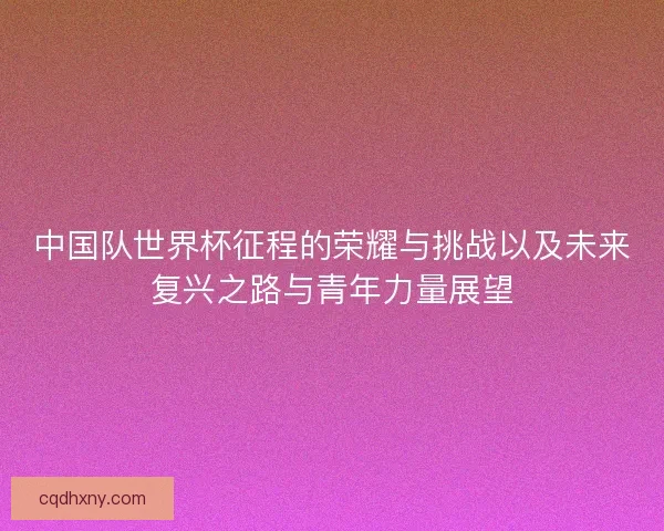 中国队世界杯征程的荣耀与挑战以及未来复兴之路与青年力量展望